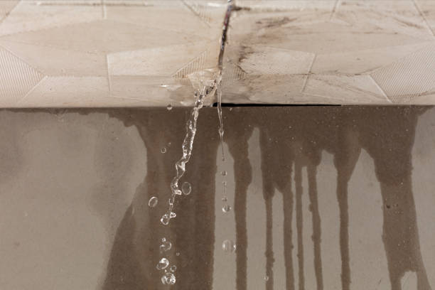 Professional Structural Drying technician working in Union, NJ